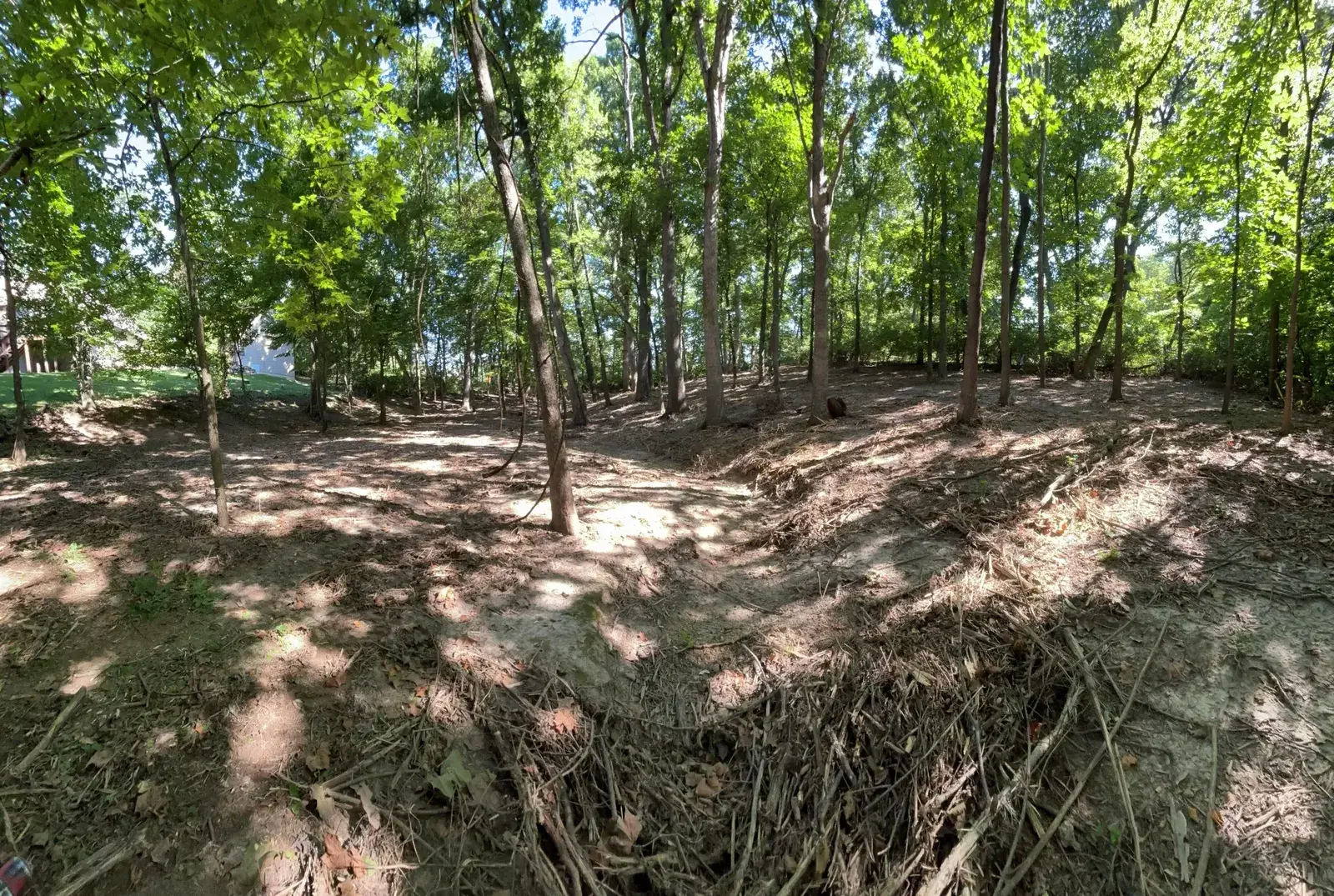 Cleared woodland on a property in the Wentzville area