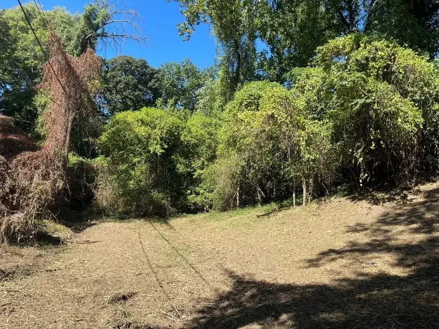 Forestry Mulching. After.