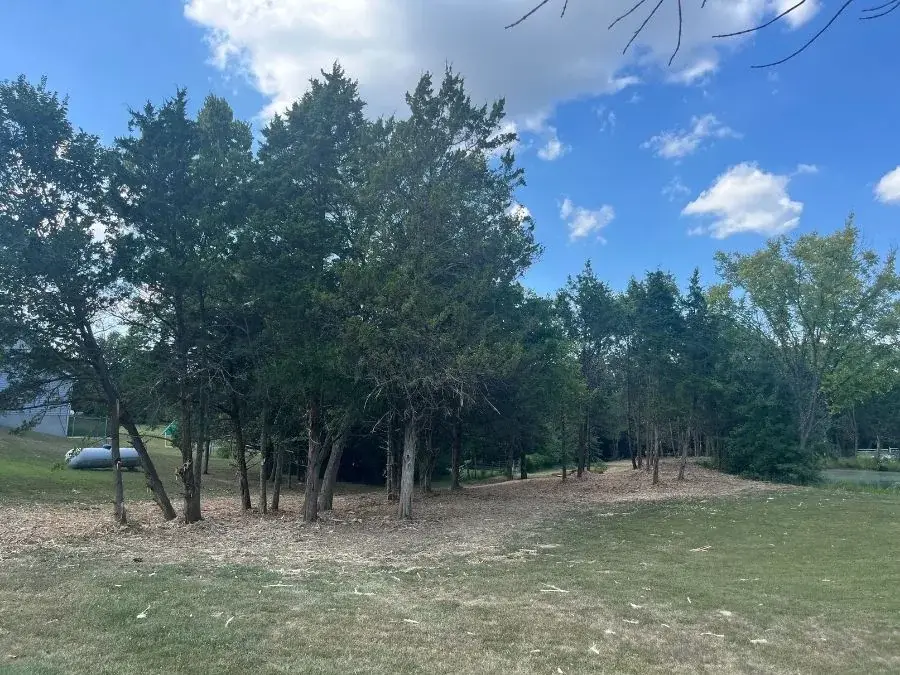 Forestry Mulching. After.
