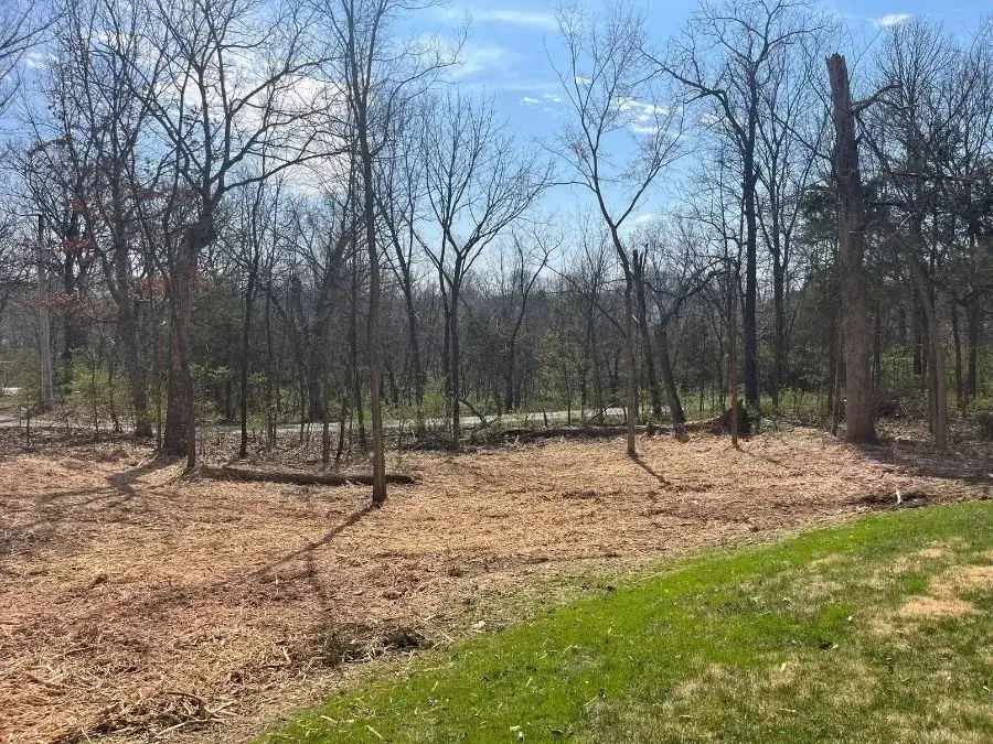 Forestry Mulching. After.