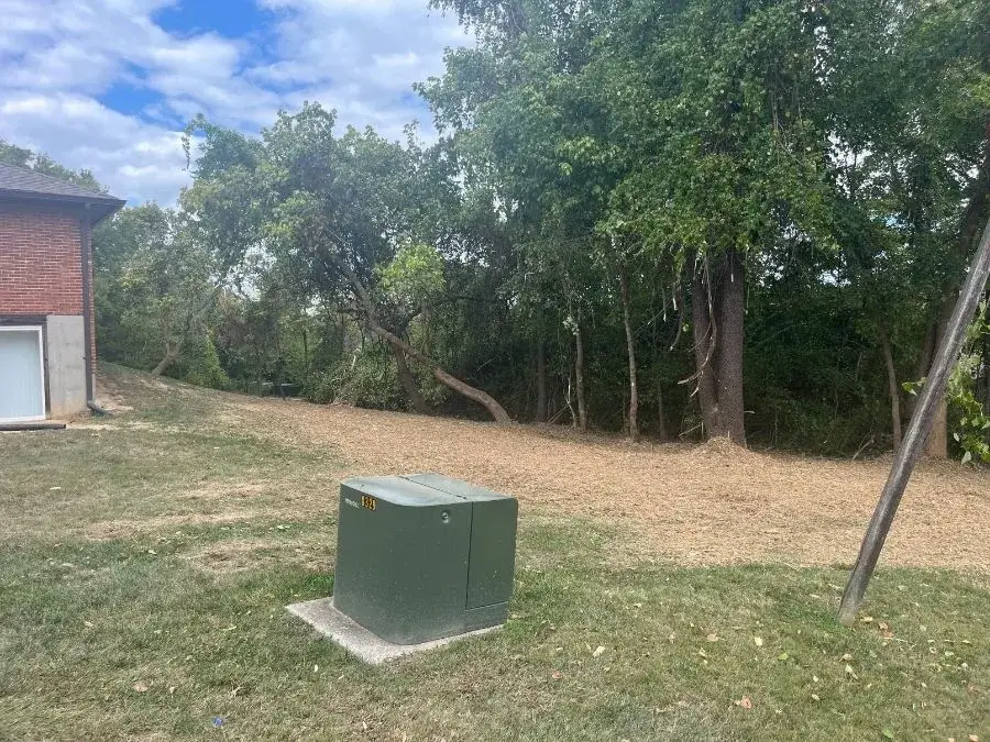 Forestry Mulching. After.