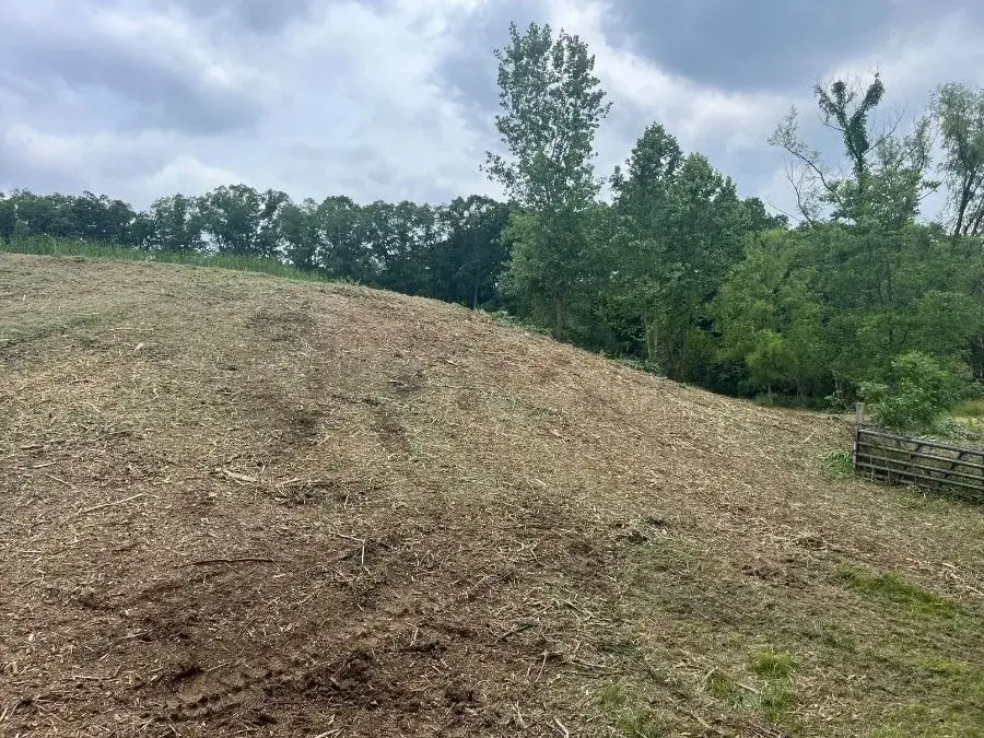 Land Clearing. After.