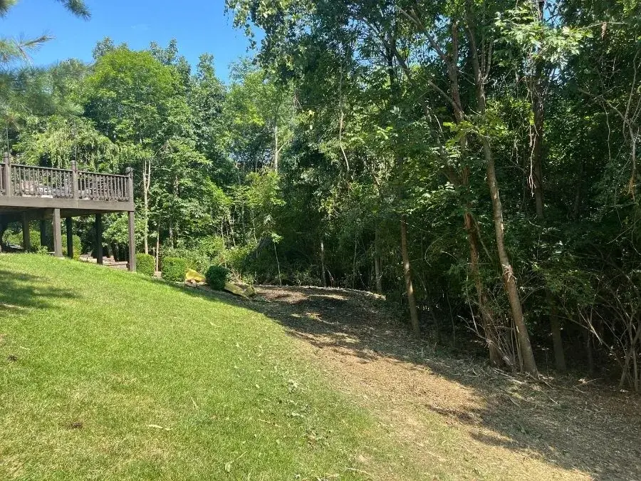 Land Clearing. After.