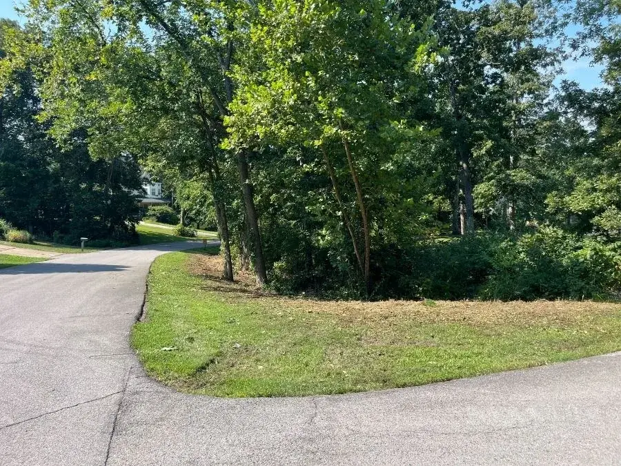 Land Clearing. After.