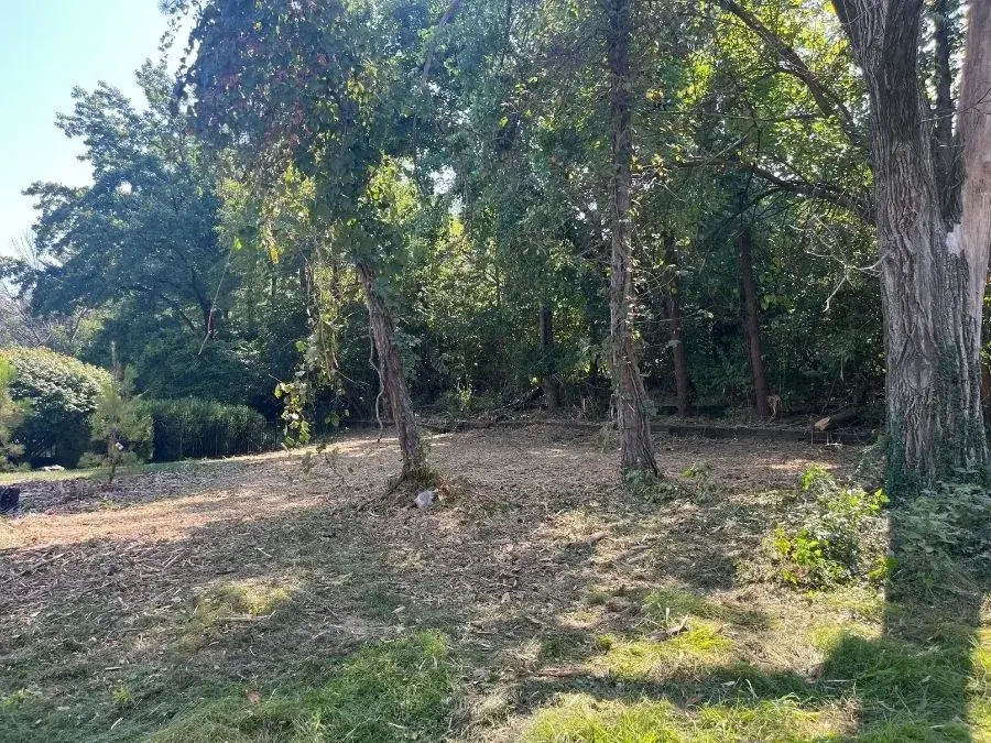 Land Clearing. After.