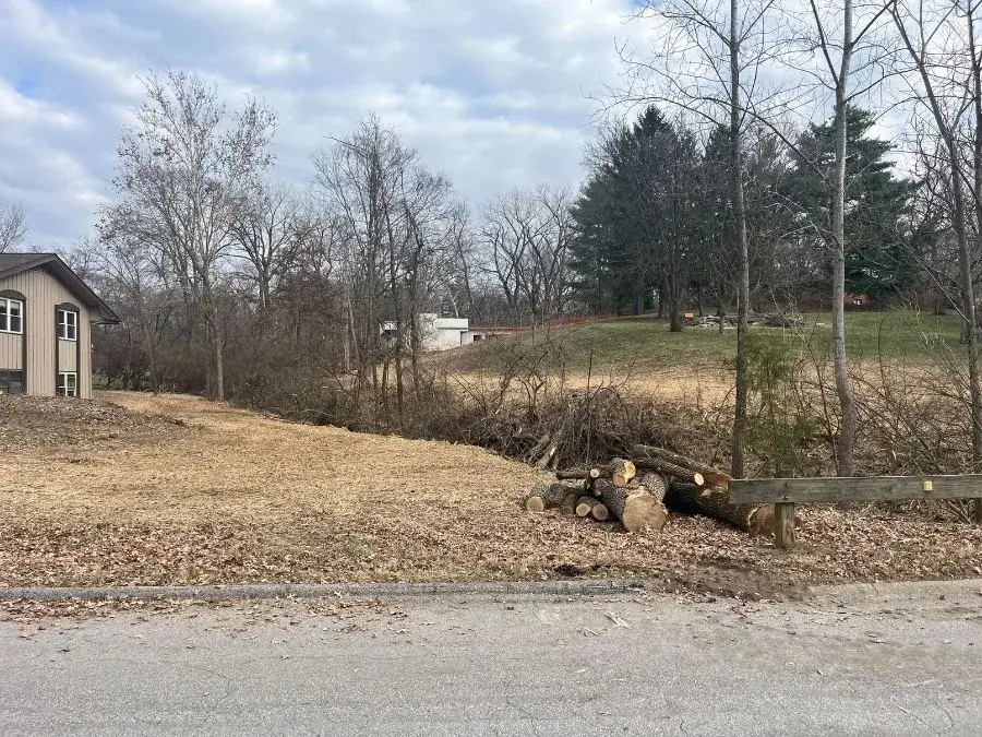Land Clearing. After.