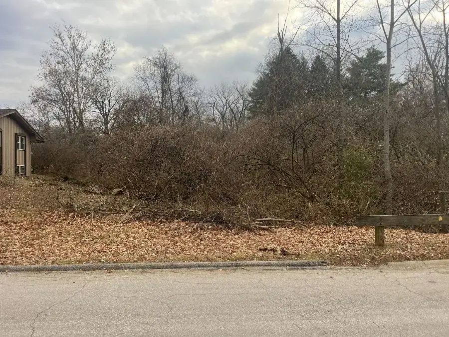 Land Clearing. Before.