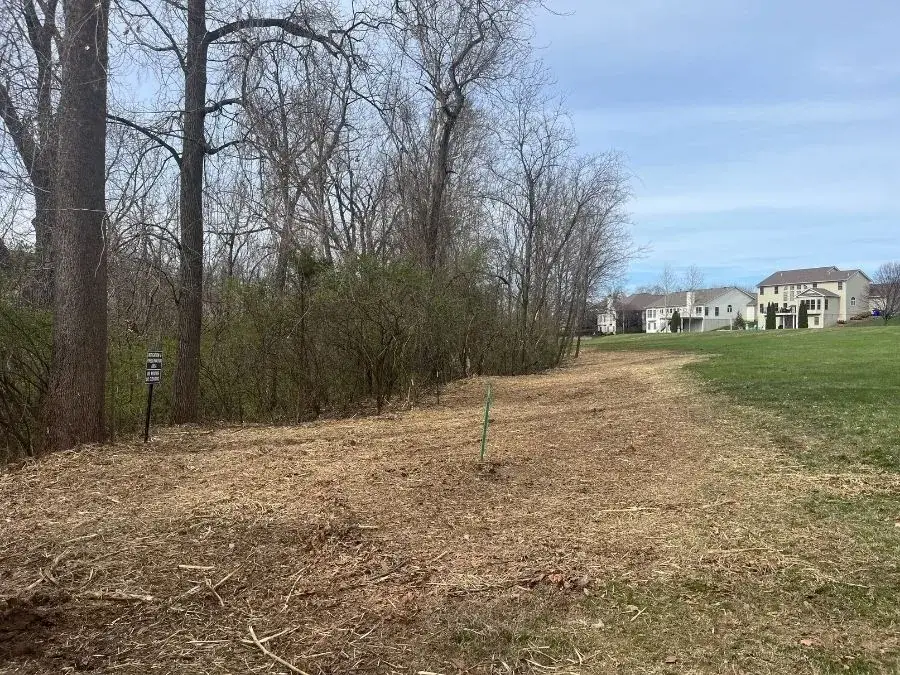 Land Clearing. After.