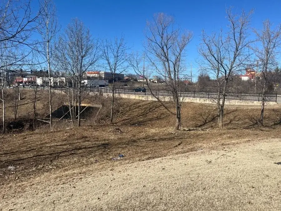 Land Clearing. After.
