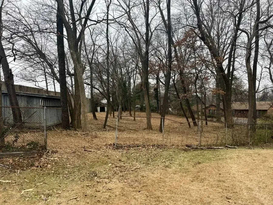 Land Clearing. After.