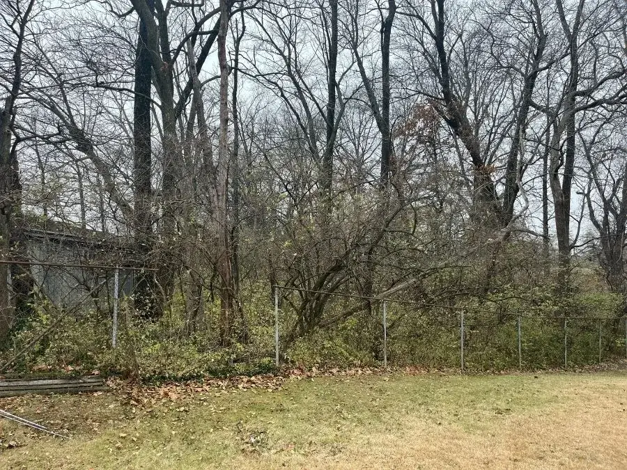 Land Clearing. Before.