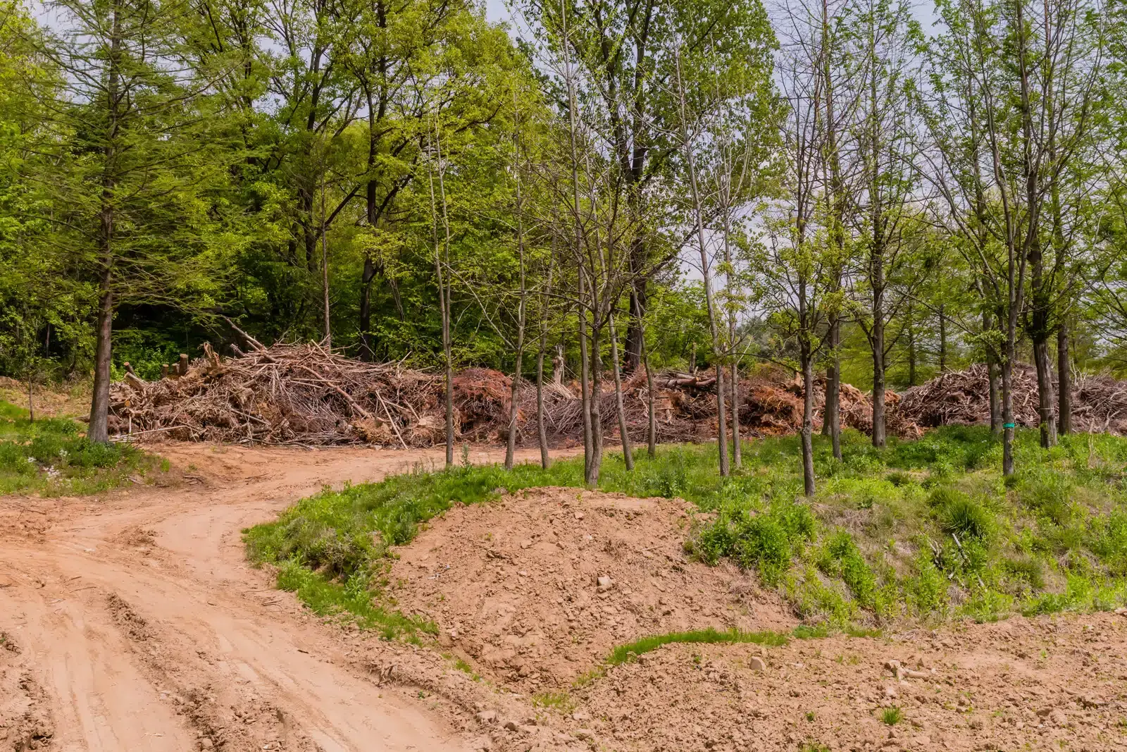 New Construction Clearing