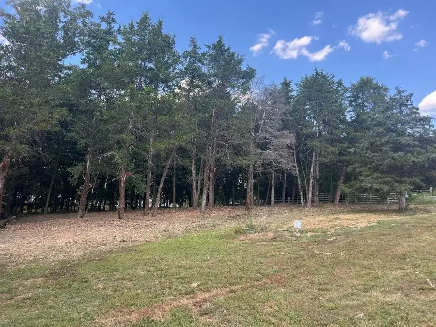 Property Line Clearing - a recent St. Louis metro project. After.