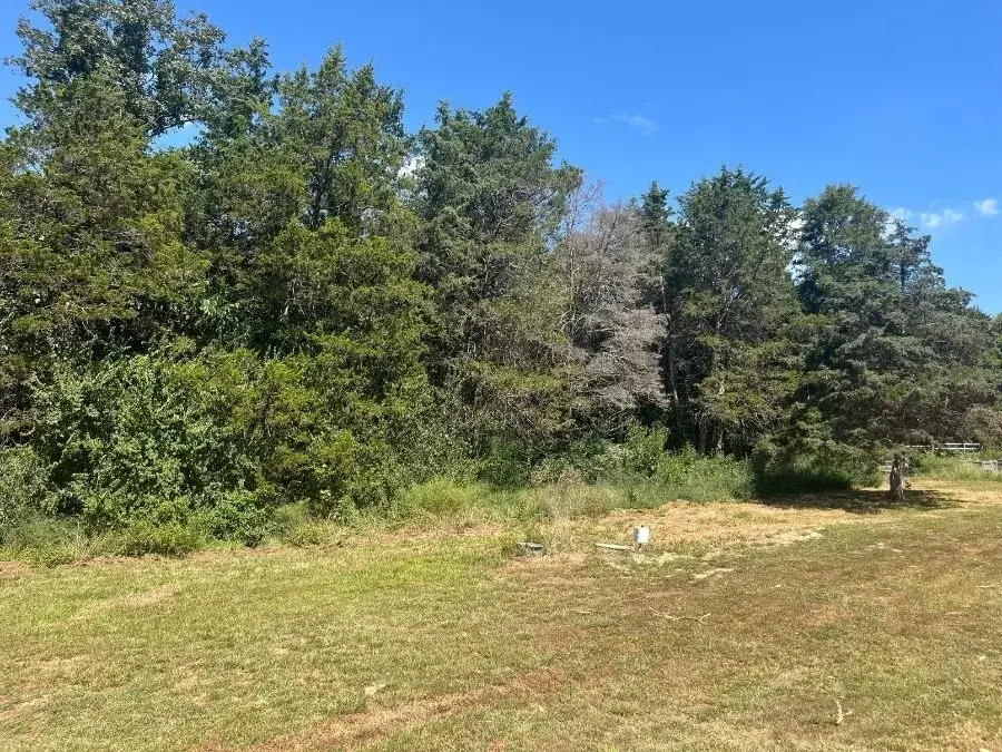 Property Line Clearing - a recent St. Louis metro project. Before.