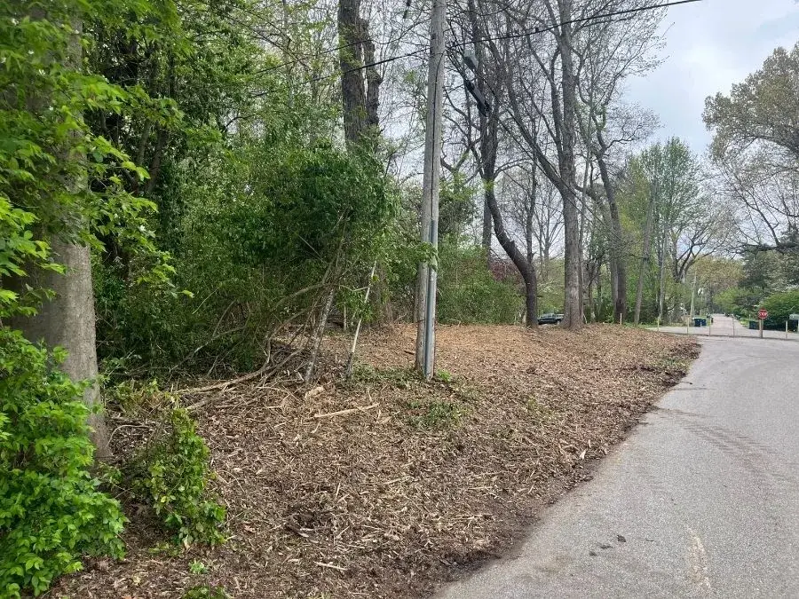 Right of Way Clearing. After.