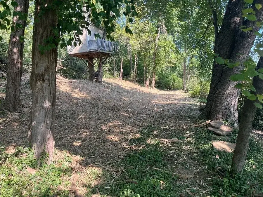 Trail Clearing. After.
