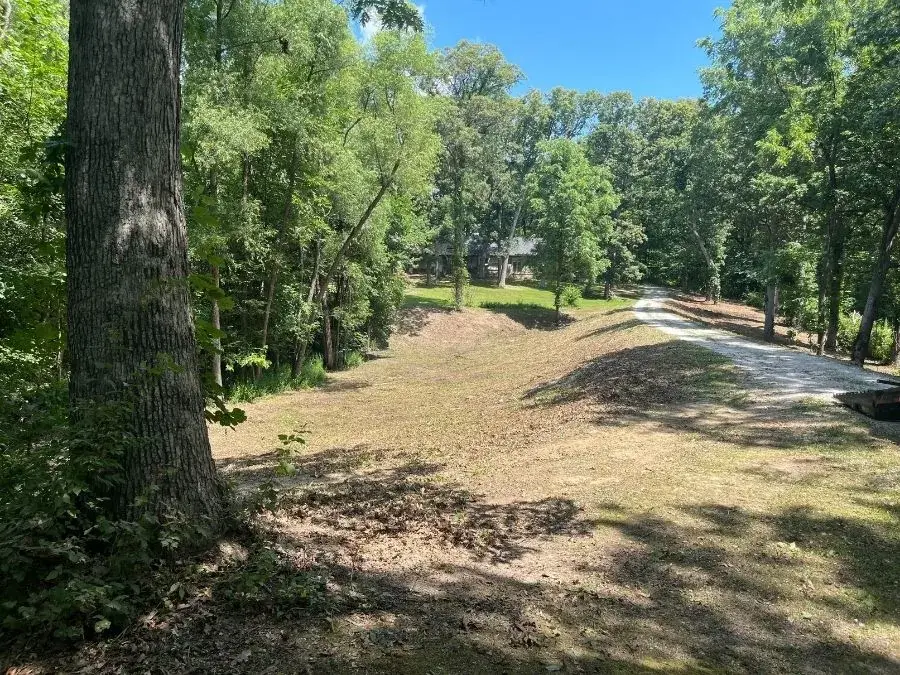 Trail Clearing. After.